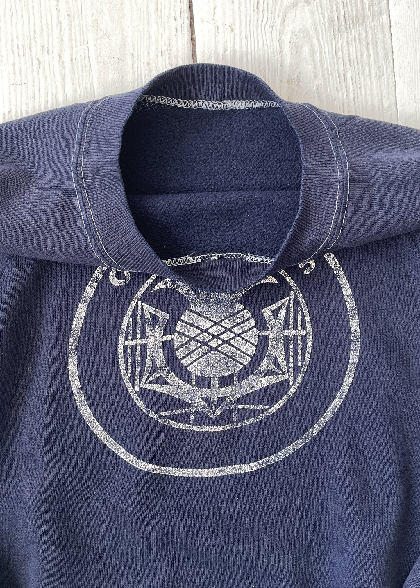 Vintage 1970s Carnegie-Mellon U Sweatshirt