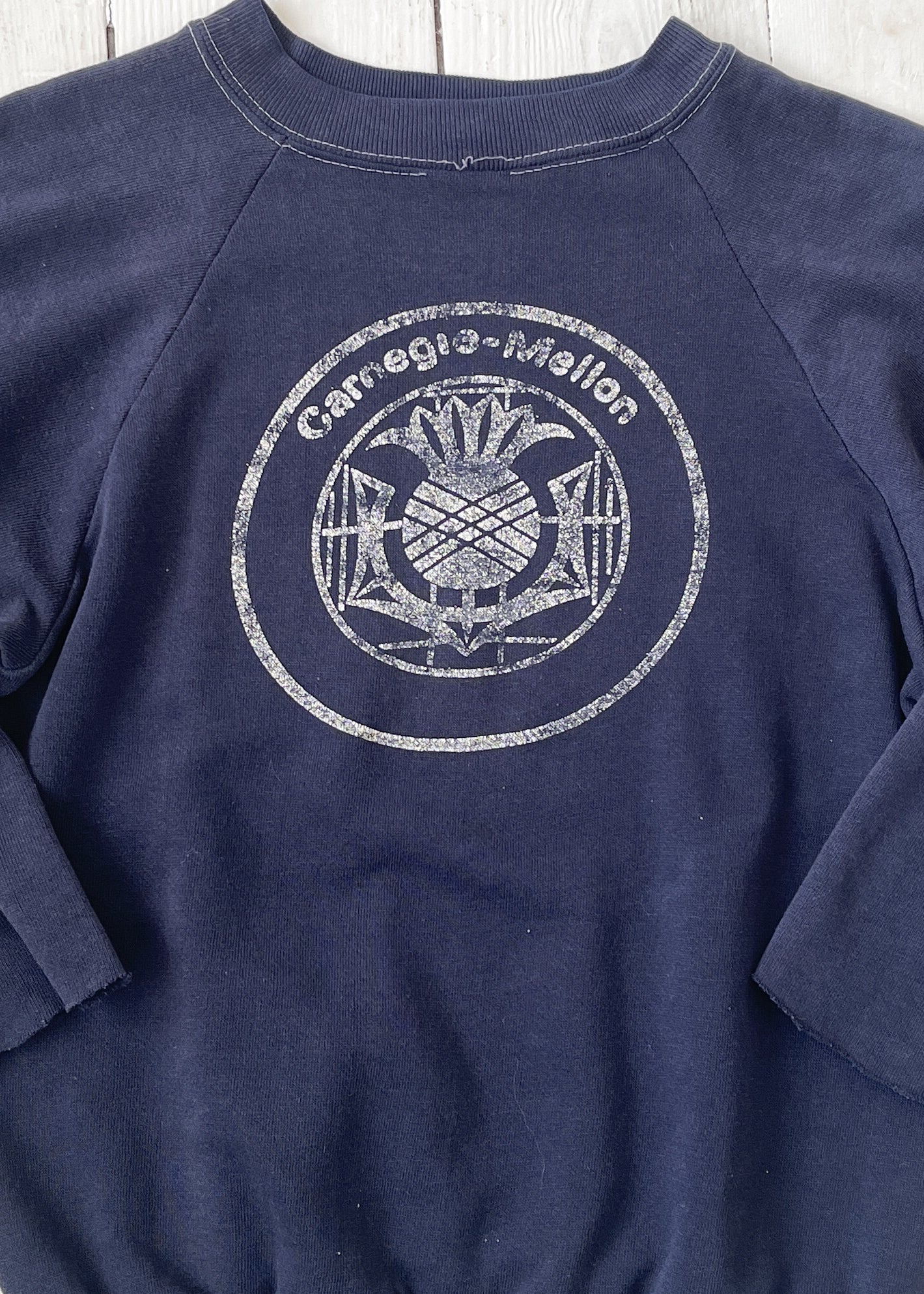 Vintage 1970s Carnegie-Mellon U Sweatshirt