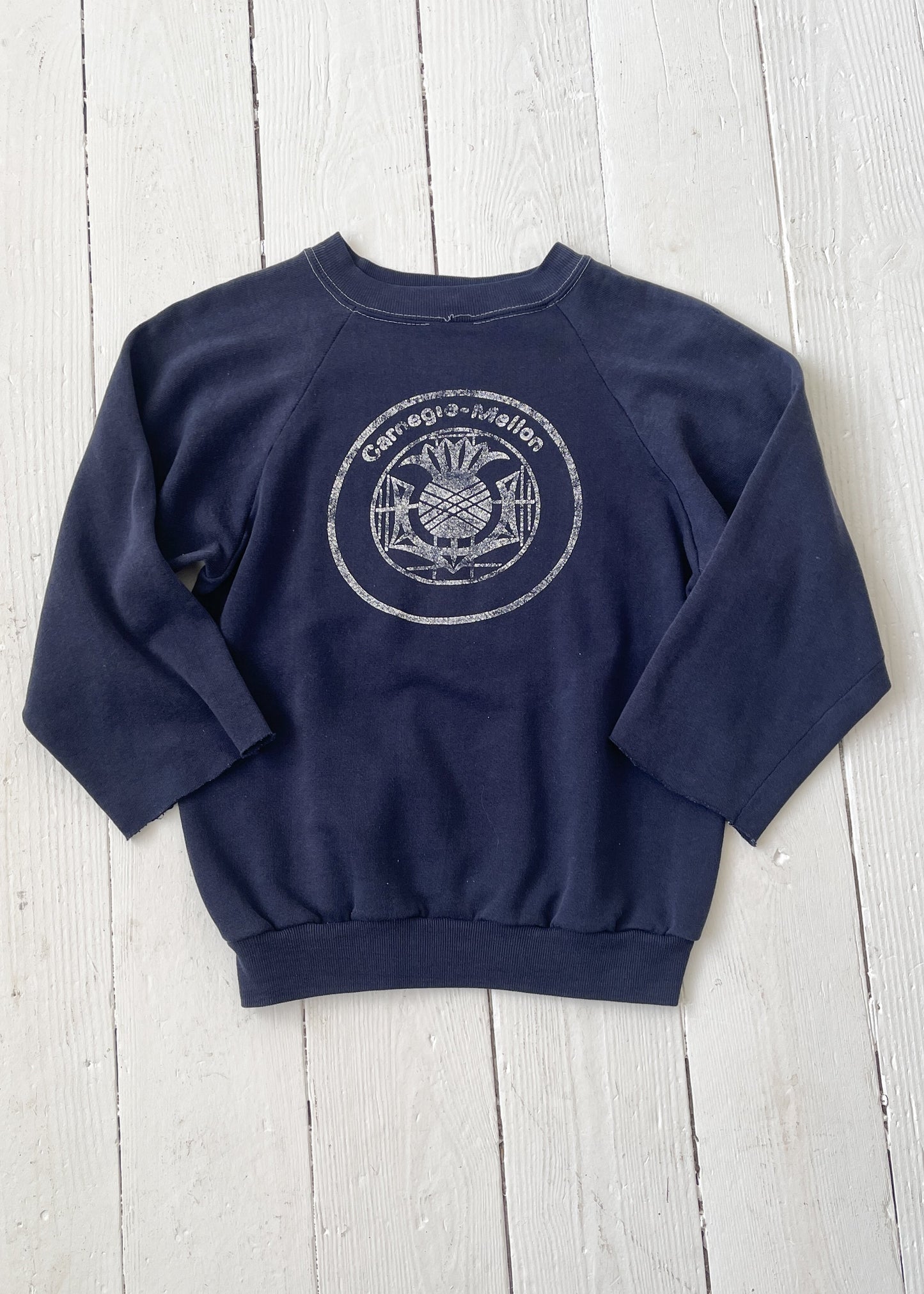 Vintage 1970s Carnegie-Mellon U Sweatshirt